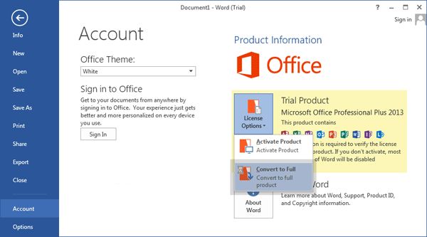 microsoft office 2013 screenshot 3